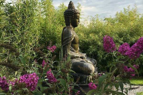 Wandel door de bamboetuin