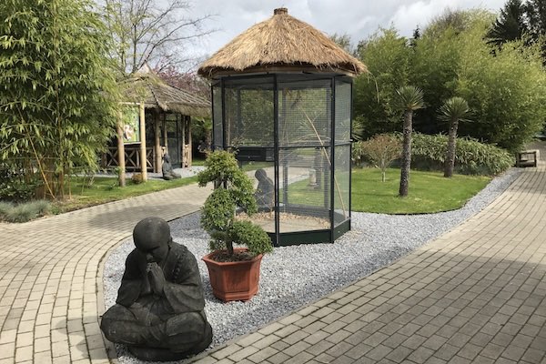 Eekhoorn Experience De Evenaar: Maak een wandeling door de bamboetuin van 10.000 vierkante meter