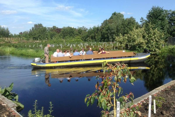 Plantentuin Esveld & YUME Koffie- en Theehuis: Varen in prachtige omgeving