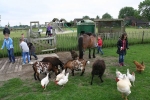 Afbeelding van Speel- en kinderboerderij 't Platteland