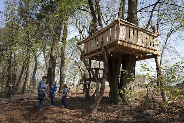 Kijk om je heen vanuit de boomhut