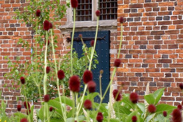 Museum Klooster Ter Apel: Loop door de kruidentuin