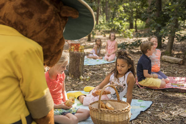 Landal Landgoed 't Loo: Picknicken