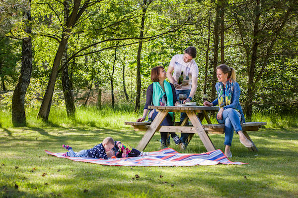 Gezellig picknicken met de familie