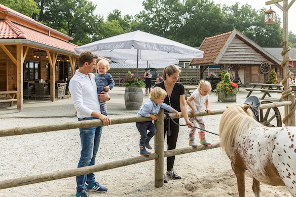 Maak een ritje op een pony