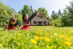 Afbeelding van Landal Het Land van Bartje