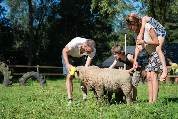 Landal Landgoed De Elsgraven: Kinderboerderij