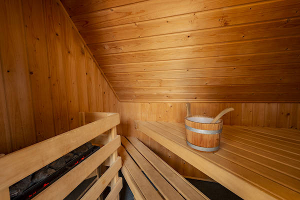 Landal Landgoed De Elsgraven: Sauna