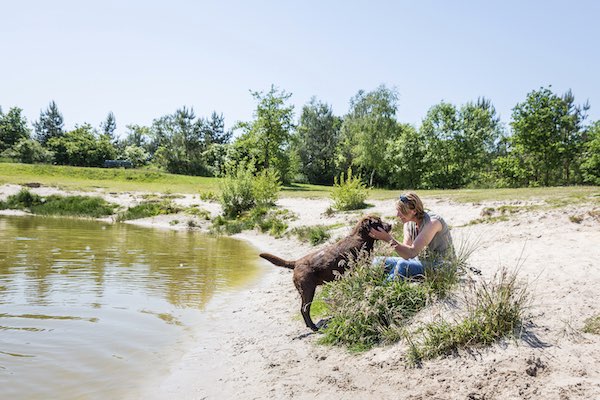 Spelen met je hond