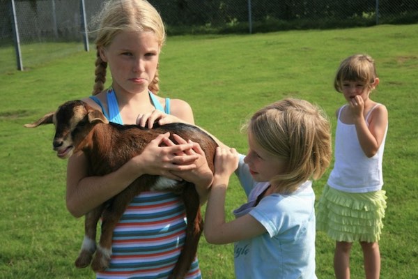 Kinderboerderij