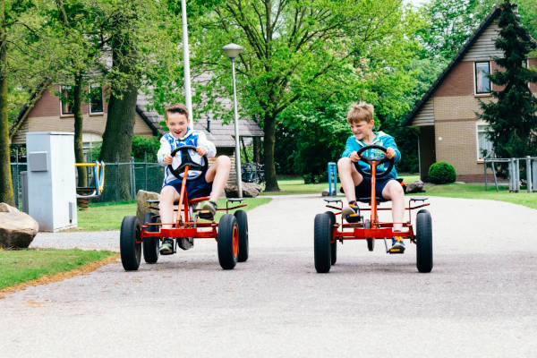 Landgoed Ruwinkel: Jongens op skelters