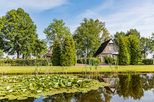 Hof van Salland: De vakantievilla's zijn van alle gemakken voorzien