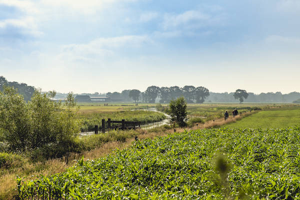 Wandelen