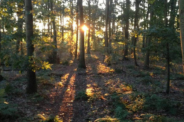 De natuur in sfeer