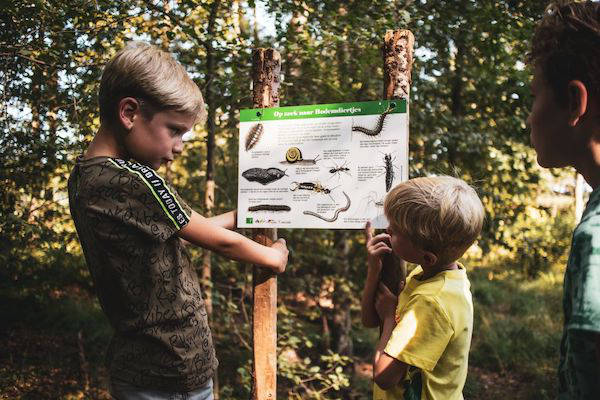 Het hart van Drenthe: Op zoek naar beestjes