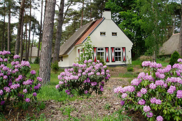 Huis met bloemen