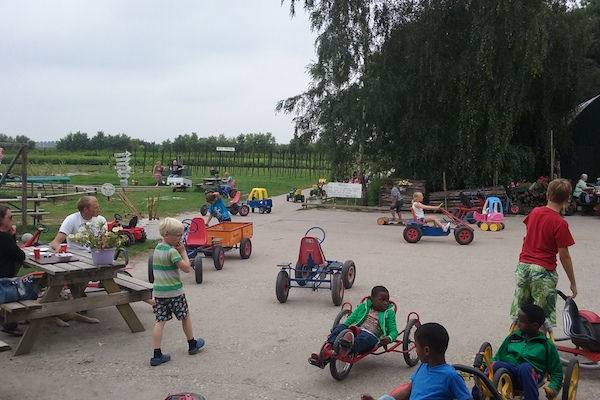 Maisdoolhof en Bloemenboerderij: Er is heel veel speelplezier op het erf te vinden