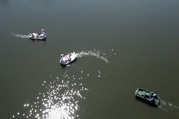 Maak met de waterfiets een rondje op het parkmeer