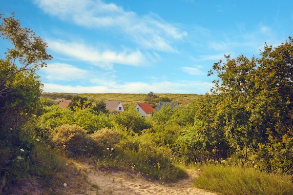 Huizen in de duinen