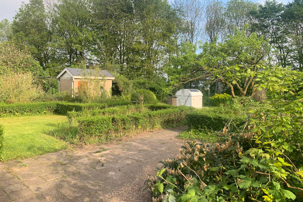 De tuin