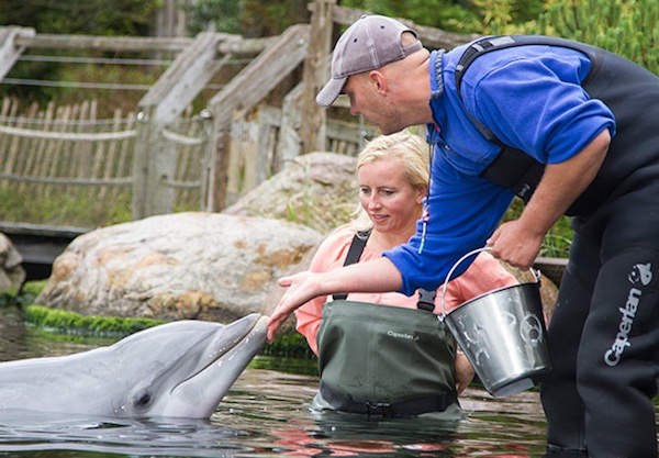 In het water met de dolfijnen bij het Dolfinarium