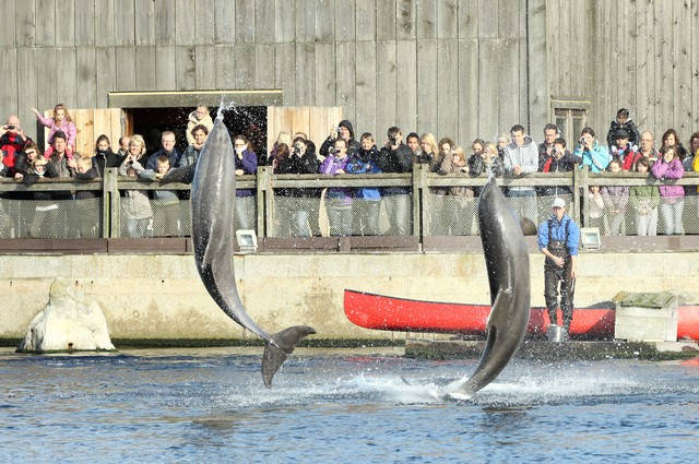 Spectaculaire sprongen