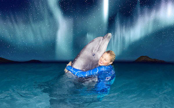 Kom naar het Winter Dolfinarium