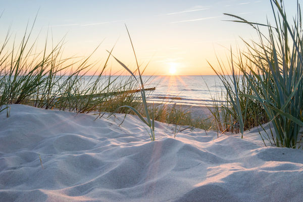 Het duinen- en strandgebied is één van de mooiste gebieden van Nederland