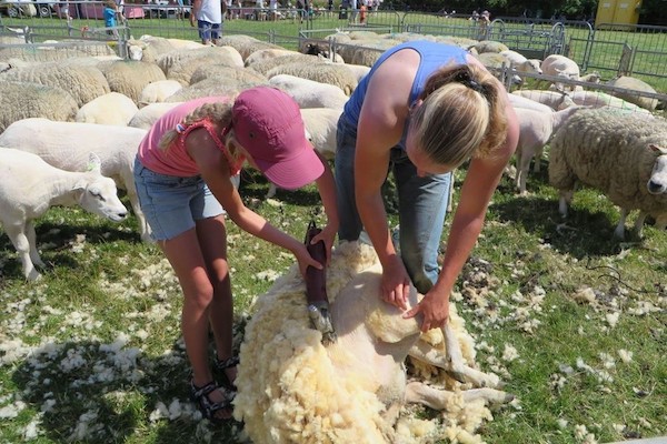 BinnensteBuiten Festival: Doe mee met leuke en interessante activiteiten