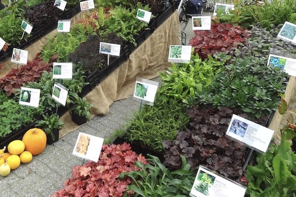 Bekijk honderden bloemen en planten