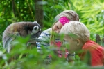 15 Dierentuinen met korting die je gezien moet hebben