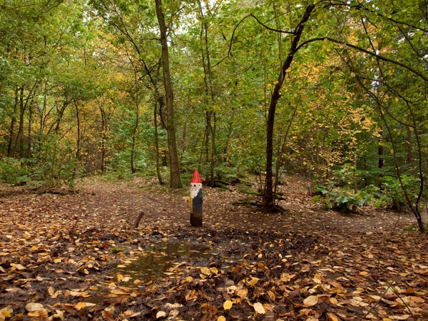 Voorkom dat je nog meer korting voor Kabouterbos Nunspeet mist