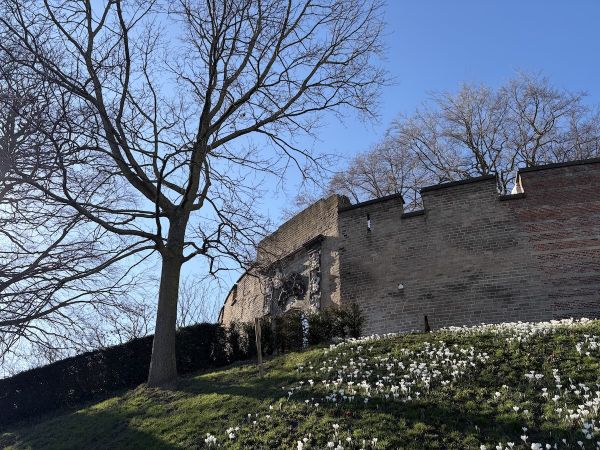 Lente bloemen voor de ingang van de Burcht - De Burcht van Leiden