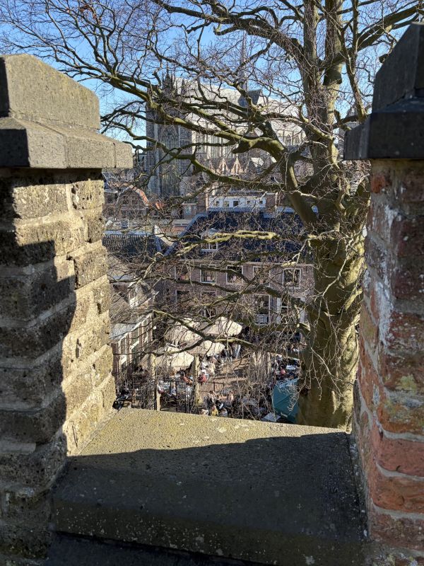 Uitzicht van bovenop de Burcht - De Burcht van Leiden