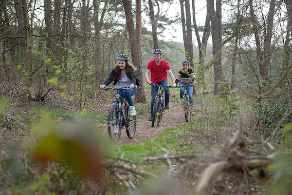 Mountainbiken door de bossen