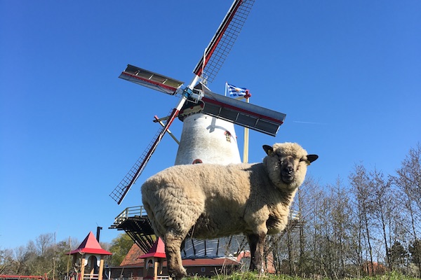 Pannekoekenmolen de Graanhalm