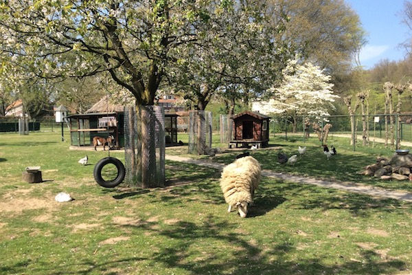 Op het landgoed is een kleine kinderboerderij