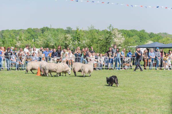 Diergeneeskunde Outdoor Event DOE in Utrecht