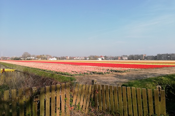 Schnipseljagd Noordwijk: Ontdek de mooiste plekjes