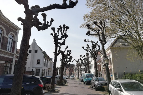 De opdrachten staan in het thema van het straatbeeld van Noordwijk