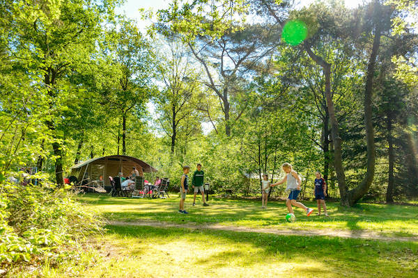 Huur een ingerichte tent voor 6 personen