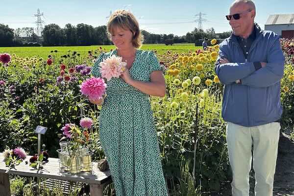 Top 10 uitjes in Voorhout en omgeving
