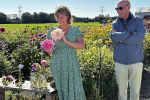 Afbeelding van Fietsen langs de bloemenvelden in Lisse