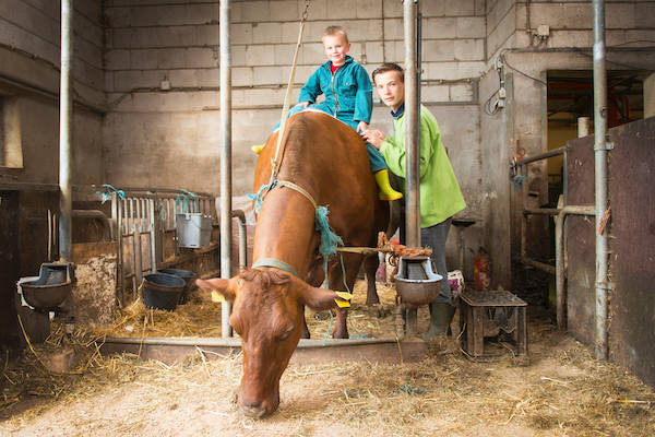 Boerderij de Boterbloem: Ontdek verschillende boerderij dieren