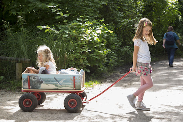 Ga met een bolderkar het hele park door