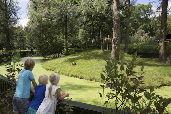 AquaZoo Leeuwarden: Samen aapjes spotten