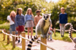 Afbeelding van AquaZoo Leeuwarden