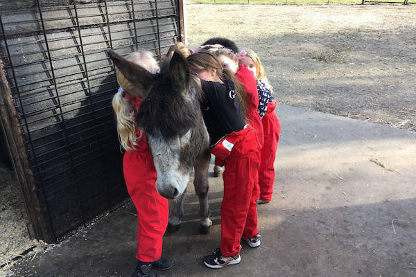 Knuffelen met de dieren