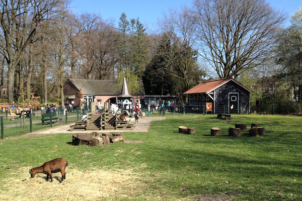 Op de boerderij vind je grote en kleine dieren