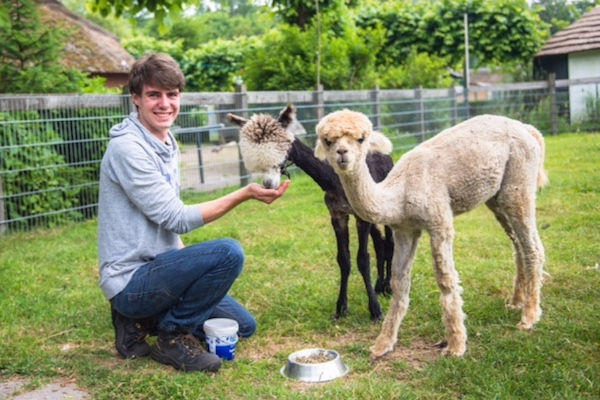 Zelf dieren voeren